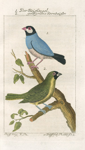 Lot 389, Auction  103, Buffon, Georges Louis Leclerc Comte de, Naturgeschichte der Vögel. Band 10