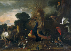 Los 6040 - Hondecoeter, Melchior de - Nachfolge - Der Pfauenhof - 0 - thumb