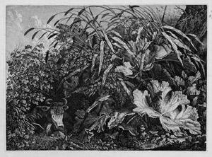 Lot 5331, Auction  113, Kolbe, Carl Wilhelm, Die Kuh im Schilf