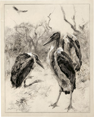 Lot 6348, Auction  113, Meyer-Eberhardt, Kurt, Die Adjutanten: Drei Marabus in der afrikanischen Steppe