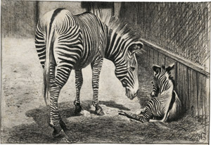 Lot 6407, Auction  113, Müller, Richard, Zebrastute mit ihrem Fohlen