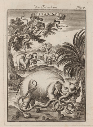 Los 14 - Manesson-Mallet, Allain - Beschreibung des gantzen Welt-Kreisses. Frankfurt, Johann David Zunner, 1684-1685. – Erste deutsche Ausgabe - 0 - thumb