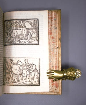 Los 708 - Apuleius, Lucius - Dell'Asino d'oro. Florenz, Filippo Giunta, 1598. - Durchschossenes Exemplar mit 60 Text-Holzschnitten - 8 - thumb