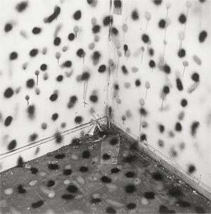 Divola, John, Vandalism (74V01)