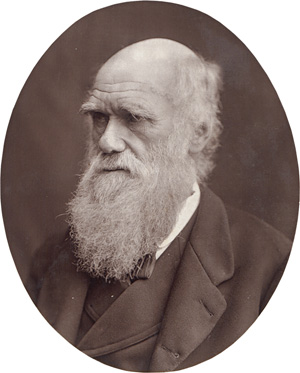 Los 4069 - Men of Mark - Heinrich Schliemann, Charles Darwin and Jules Verne - 0 - thumb