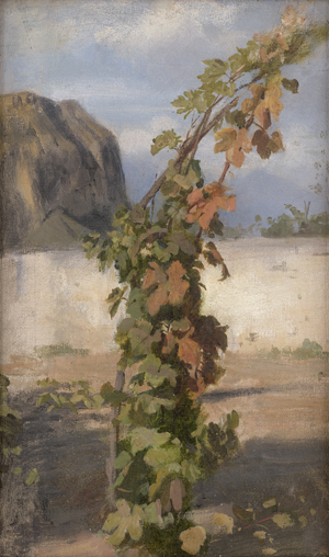 Lot 6088, Auction  126, Schick, Rudolf, Weinstock am Monte Brione am Nordufer des Gardasees