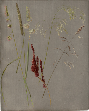 Lot 6097, Auction  126, Dalsgaard, Christen, Studie mit Wiesengräsern