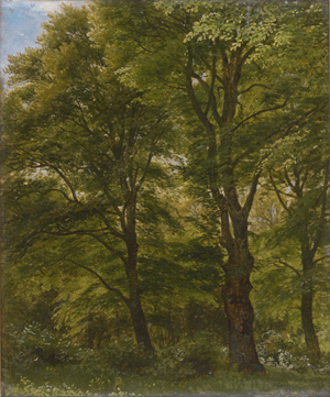 Lot 6129, Auction  126, Skovgaard, Peter Christian Thamsen, Bäume im Park von Charlottenlund.