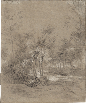 Lot 6534, Auction  126, Ruysdael, Salomon van - zugeschrieben, Landschaft mit Kopfweiden
