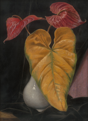 Los 7101 - Peiner, Werner - Callas - 0 - thumb