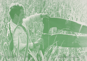 Los 7195 - Mappenwerke - Hommage à Arthur Köpcke - 1 - thumb